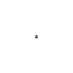 Black Friday Offer Black Friday Offer