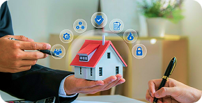 Insurance Insurance